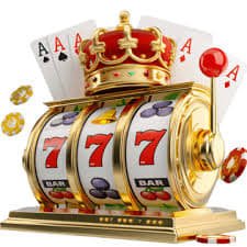 8855bet8